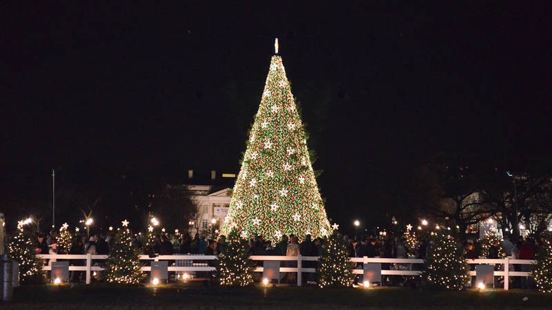 christmas-tree-white-house-lawn