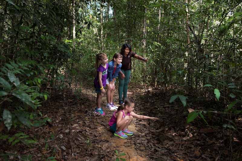 datai-exploring