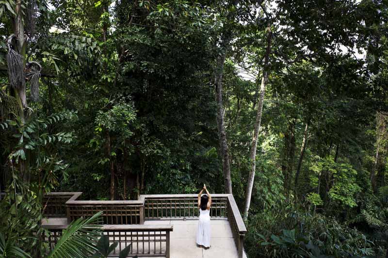 datai-langkawi-yoga-garden