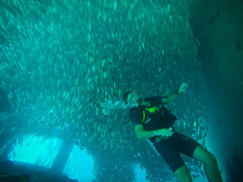 diving-in-tioman-salang