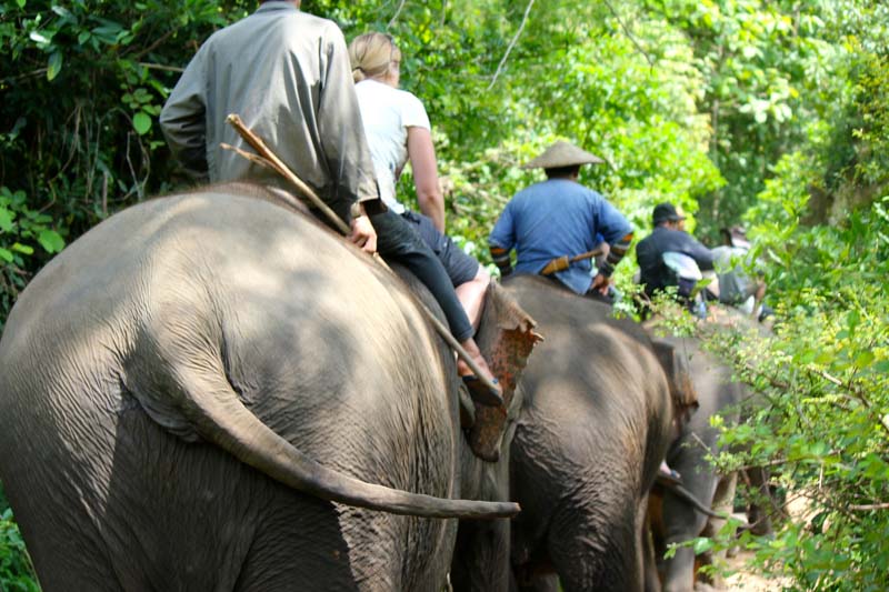 elephant-village-laos