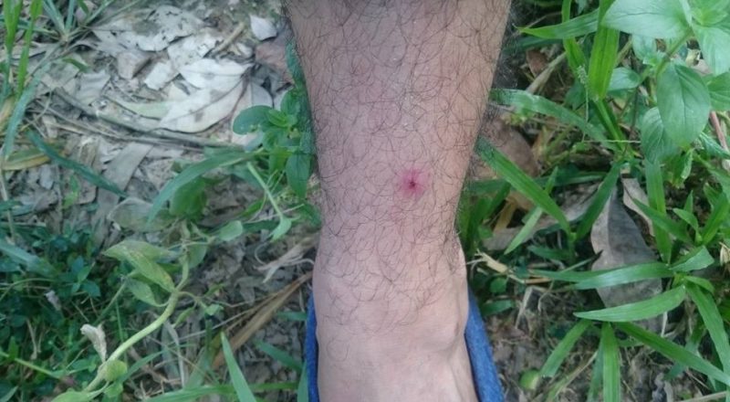 Hiking in Taman Negara