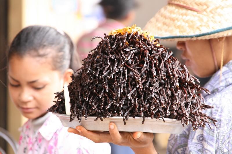 fried-tarantula-cambodia