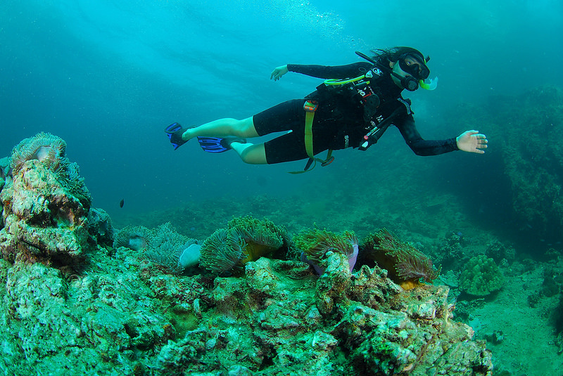 Diving in Indonesia - Diver Underwater