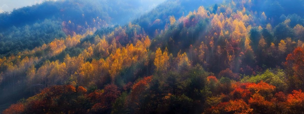 inaje-south-korea-autumn