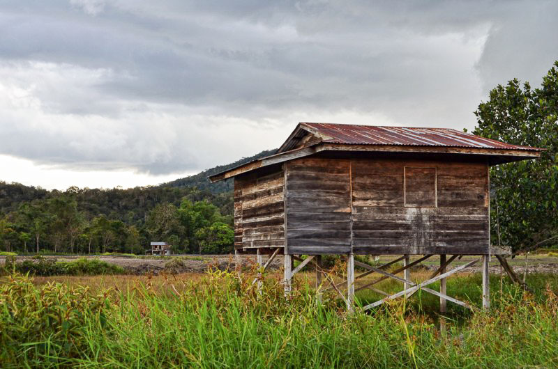 Kelabit Highlands