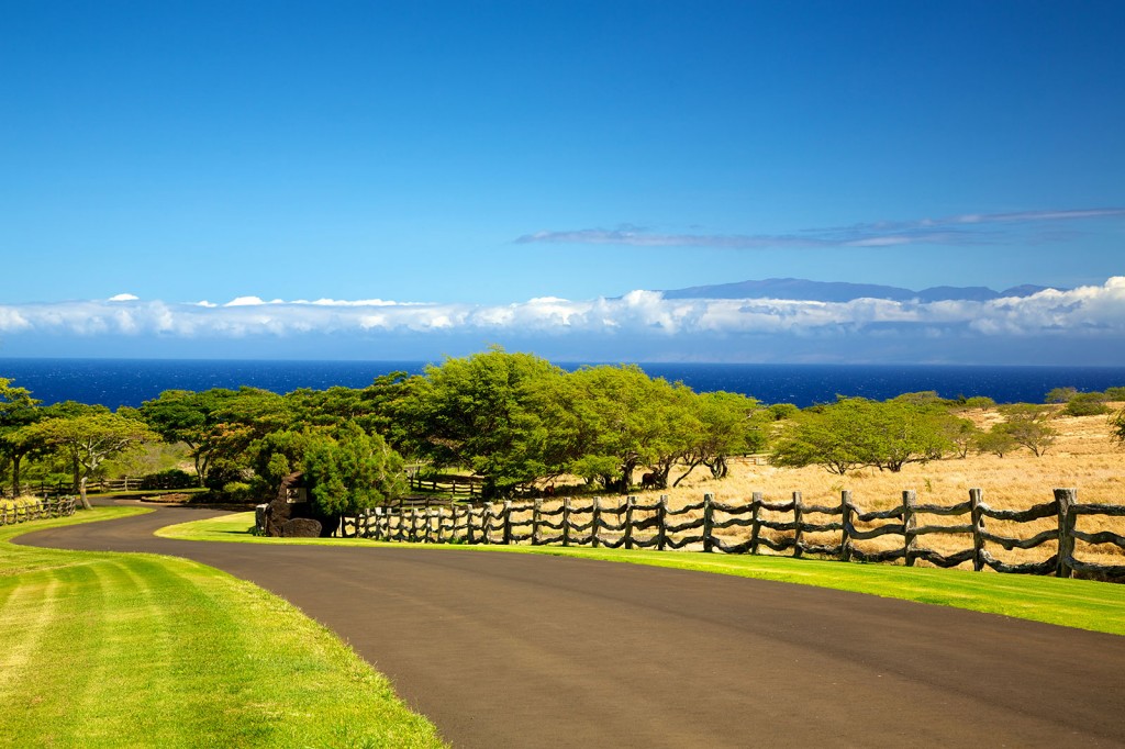 Romance in Hawaii