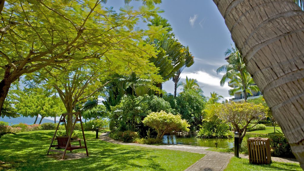 garden trees lake