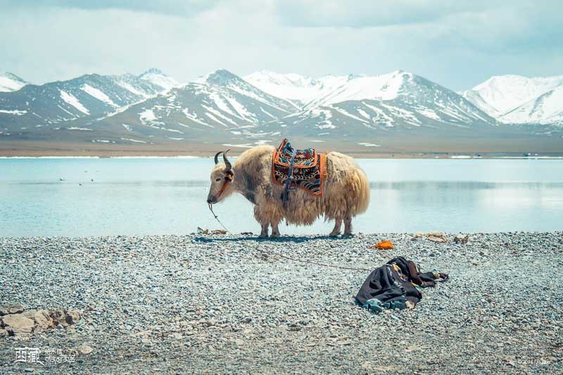 Lake Namtso, Tibet