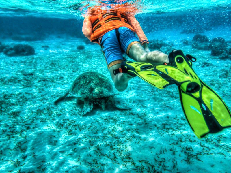 Pom Pom Island, Malaysia
