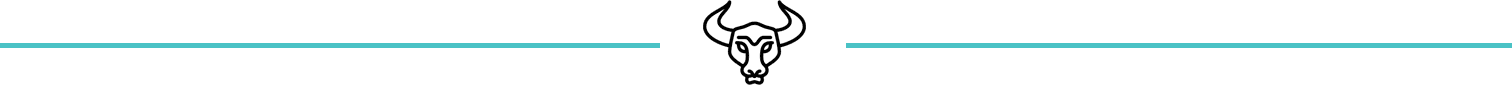 spanish-torro-divider