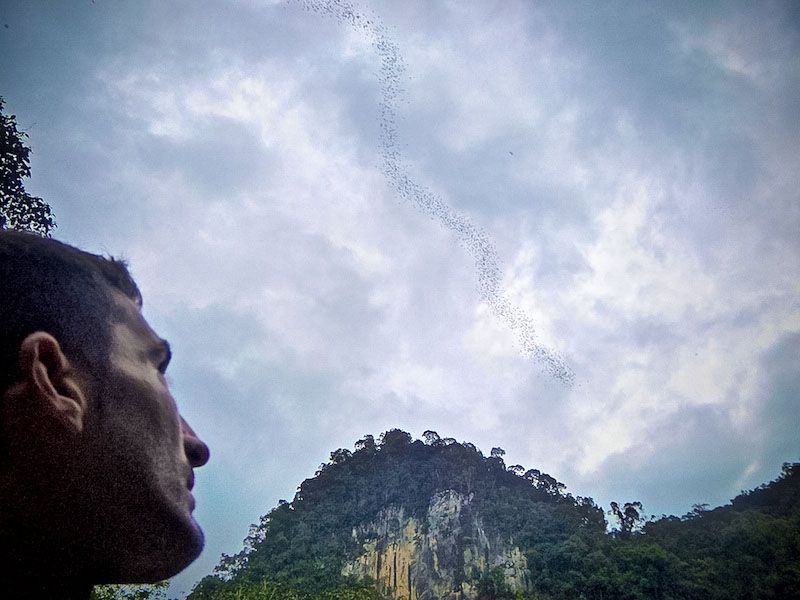 Stefan watching the bats exit the Deer Cave, Mulu National Park
