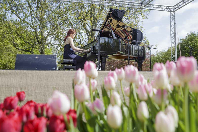 tulips-amsterdam-keukenhof